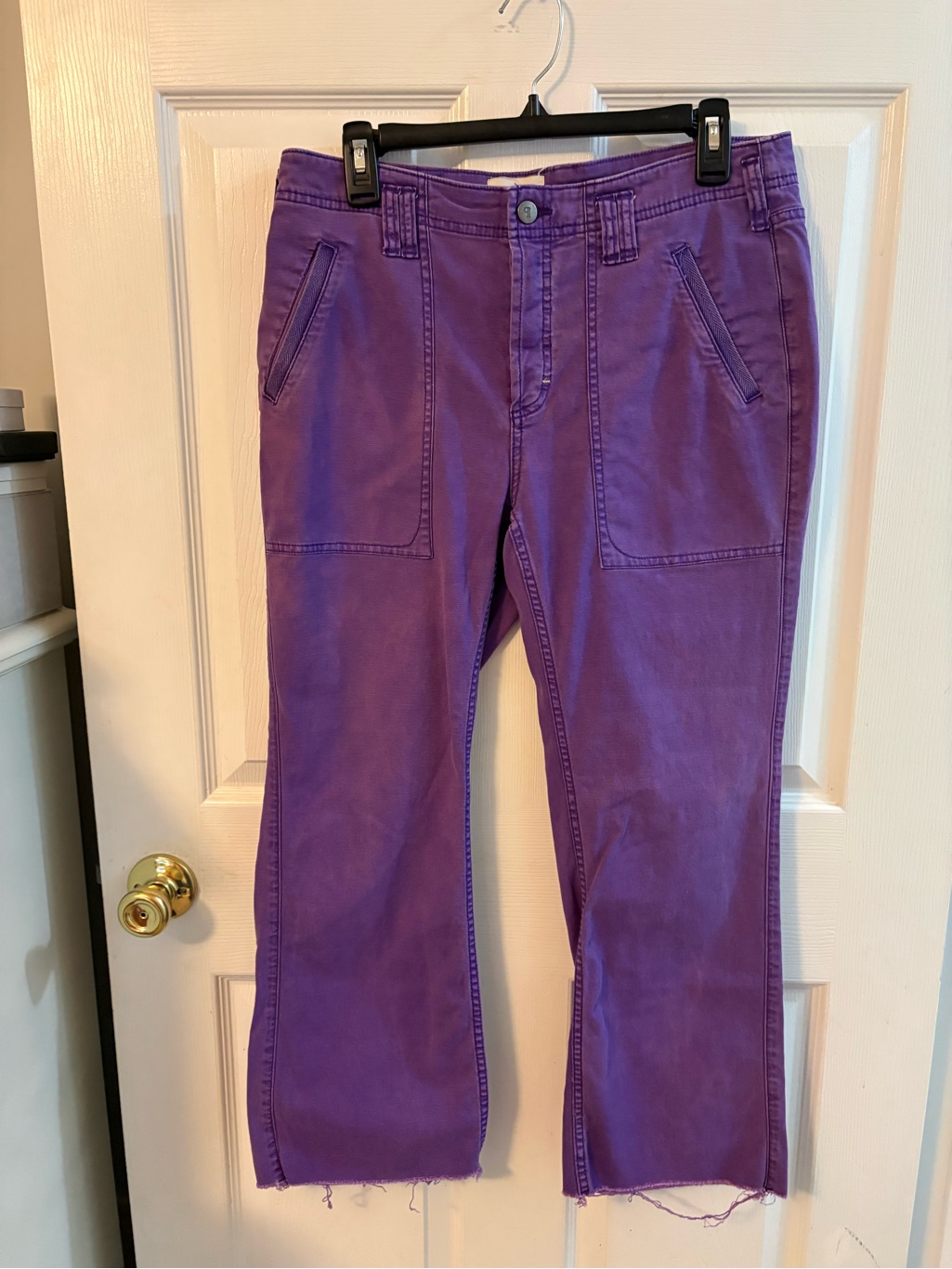 Anthropologie Pilcro Purple Utility Pants